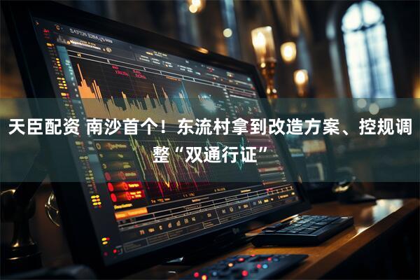 天臣配资 南沙首个！东流村拿到改造方案、控规调整“双通行证”