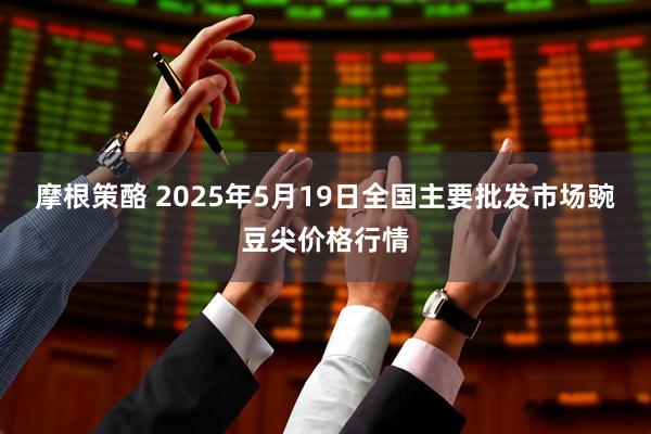 摩根策酪 2025年5月19日全国主要批发市场豌豆尖价格行情